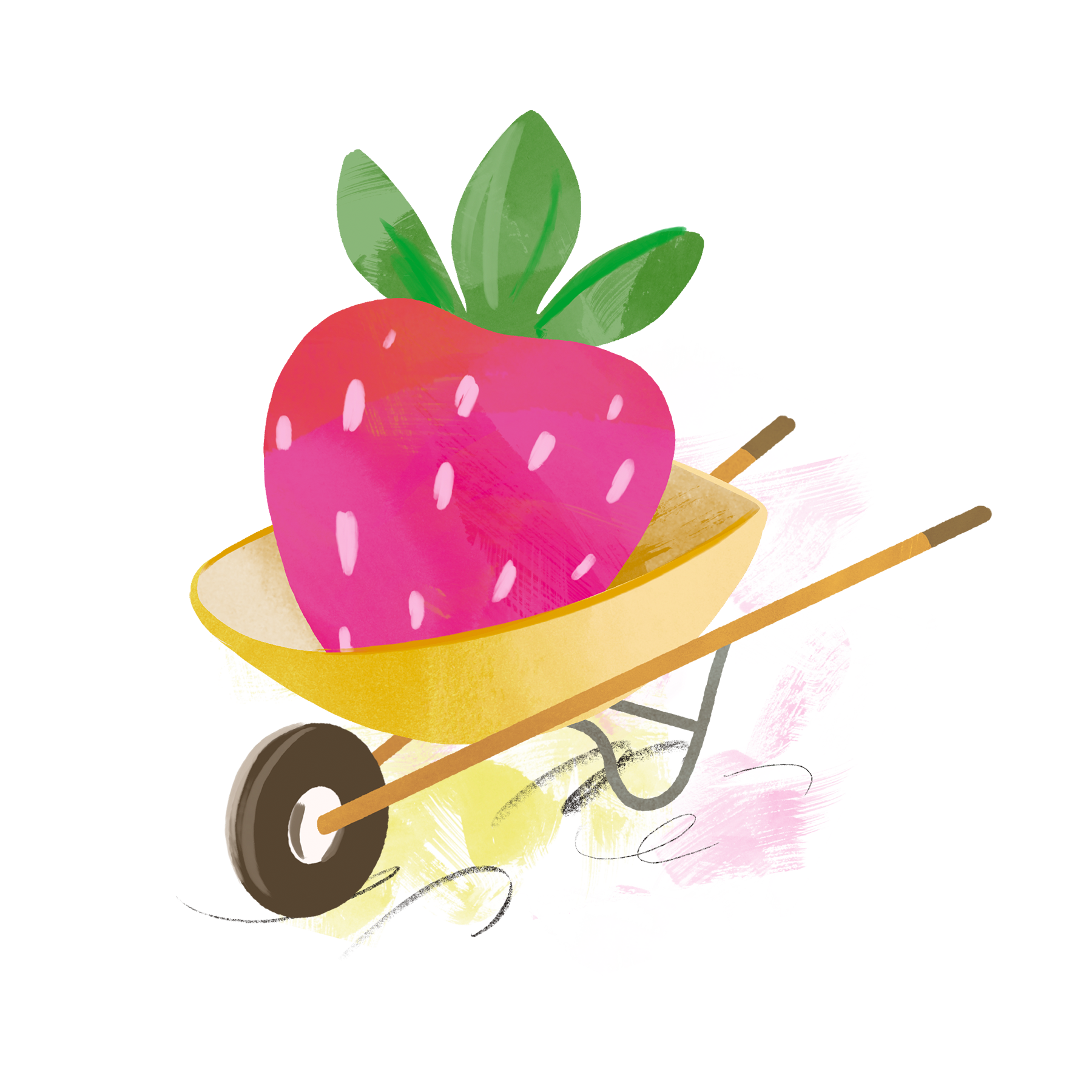 19 Wheelbarrow Strawberry 1